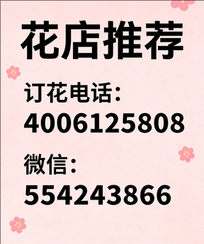 六安金安区花店哪家好